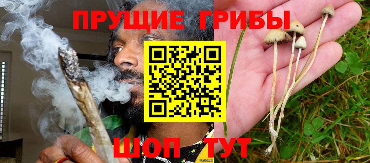 цена   Галлюциногенные грибы мицелий  Галлюциногенные грибы Psilocybine cubensis  Вход с VPN  Дедовск 
